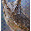 Winking owl - Image 2