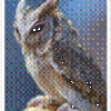 Owl #6 - Image 2